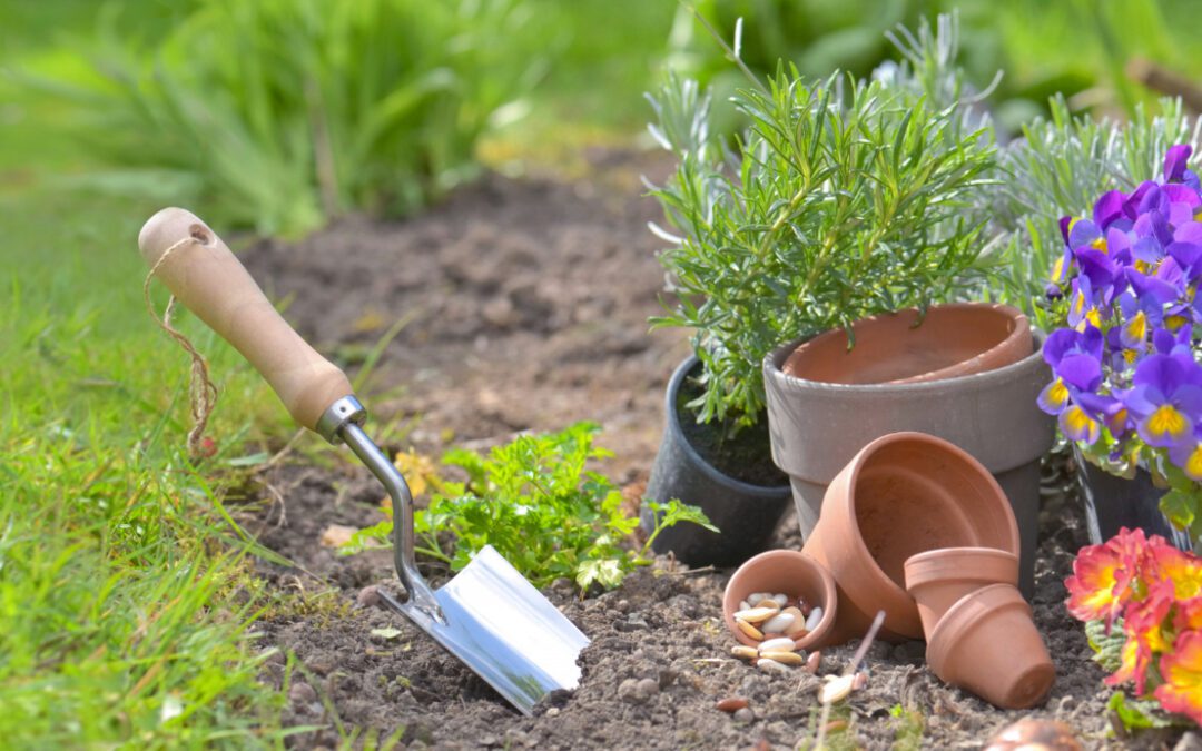 Beneficios de cuidar un jardín para la salud